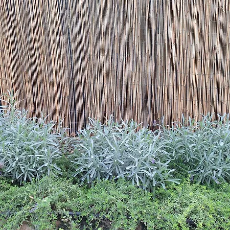 Prázdninový dům Il Giardino Segreto *