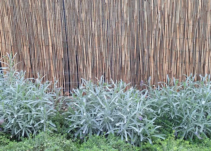 Prázdninový dům Il Giardino Segreto *